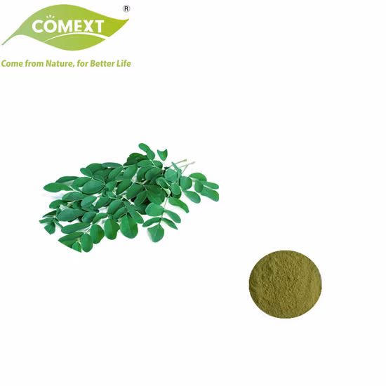 Comext Boost Immunity 100% Natural Herb Pterygospermin, Moringine, Moringinine Spirochin 4~20: 1 Cosmetic Grade /Health Food Moringa Leaf Extract