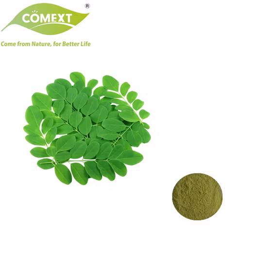 Comext Boost Immunity 100% Natural Herb Pterygospermin, Moringine, Moringinine Spirochin 4~20: 1 Cosmetic Grade /Health Food Moringa Leaf Extract