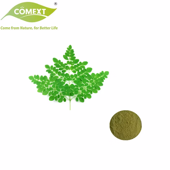 Comext Boost Immunity 100% Natural Herb Pterygospermin, Moringine, Moringinine Spirochin 4~20: 1 Cosmetic Grade /Health Food Moringa Leaf Extract
