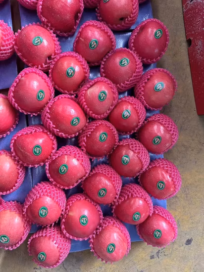 브랜드 보존 Apple Pink La Dy FUJI 엄선된 품질 Malus 국내 과일