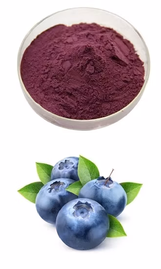 최고 품질 대량 25% 안토시아닌 블랙 엘더베리 추출물 분말