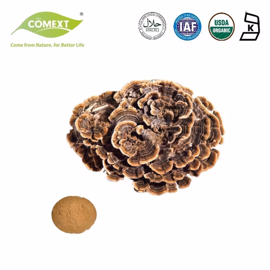 다당류 Coriolus Versicolor 추출물 분말 칠면조 꼬리